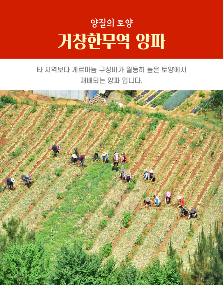 c6006a5fd6daa517161ced5d048b12f8_1746178382_0677.jpg