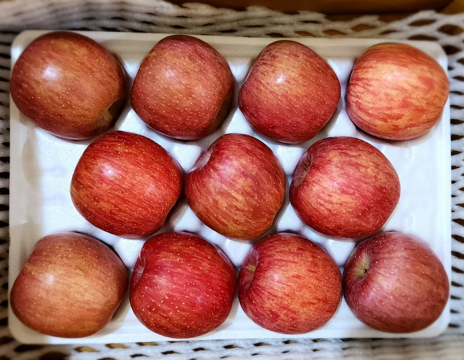 경남 거창 경북 꿀사과 고당도 아오리 부사 홍로 명절 선물세트 5kg