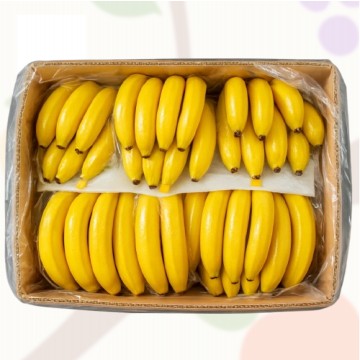 쫀득쫀득 고당도 바나나 13kg 가성비 대용량