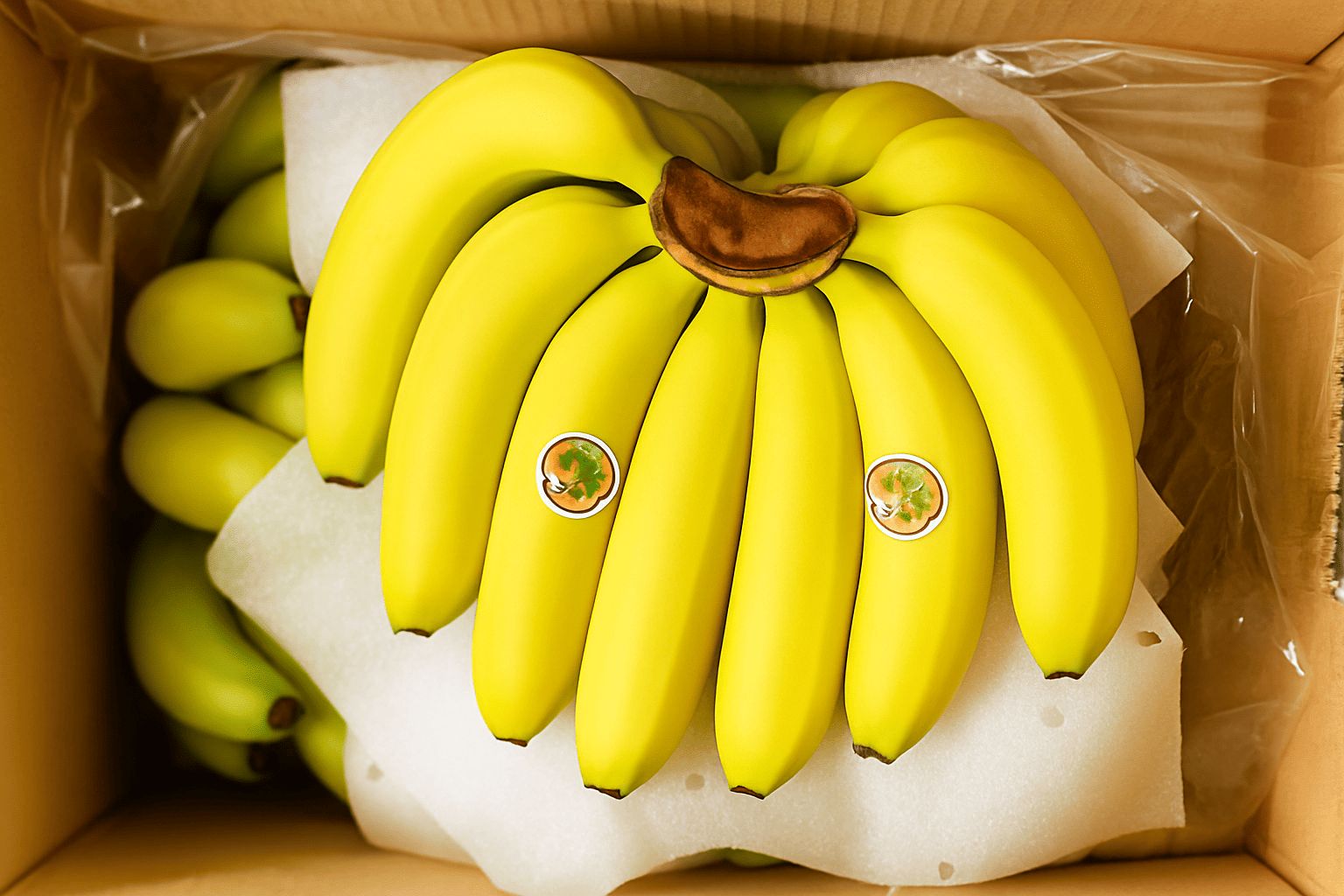 고당도 쫀득쫀득 바나나 1kg 1.6kg 2kg