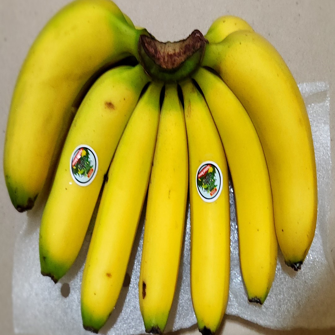 고당도 쫀득쫀득 바나나 1kg 1.6kg 2kg