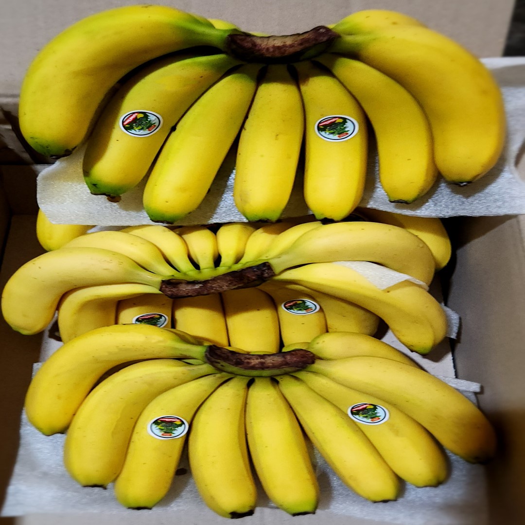 고당도 쫀득쫀득 바나나 1kg 1.6kg 2kg