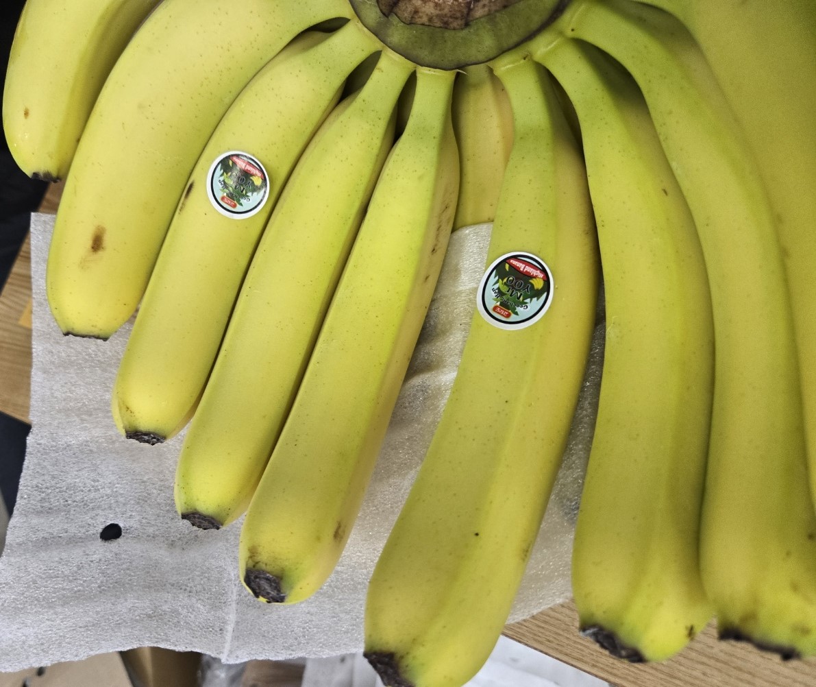 고당도 쫀득쫀득 바나나 1kg 1.6kg 2kg
