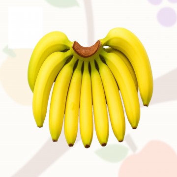 고당도 쫀득쫀득 바나나 1kg 1.6kg 2kg