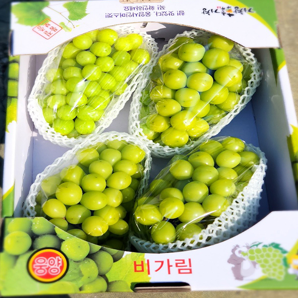 프리미엄 샤인머스켓 고당도 명절 추석 선물세트 2kg 4kg 산지 직송 가정용 수출용