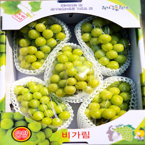 프리미엄 샤인머스켓 고당도 명절 추석 선물세트 2kg 4kg 산지 직송 가정용 수출용